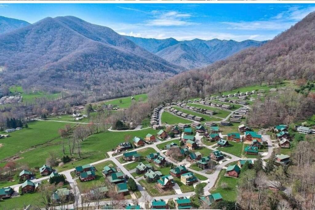 The Snow Owl Cabin Maggie Valley Buitenkant foto